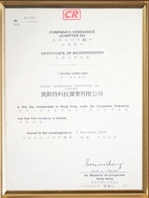 Company Registration